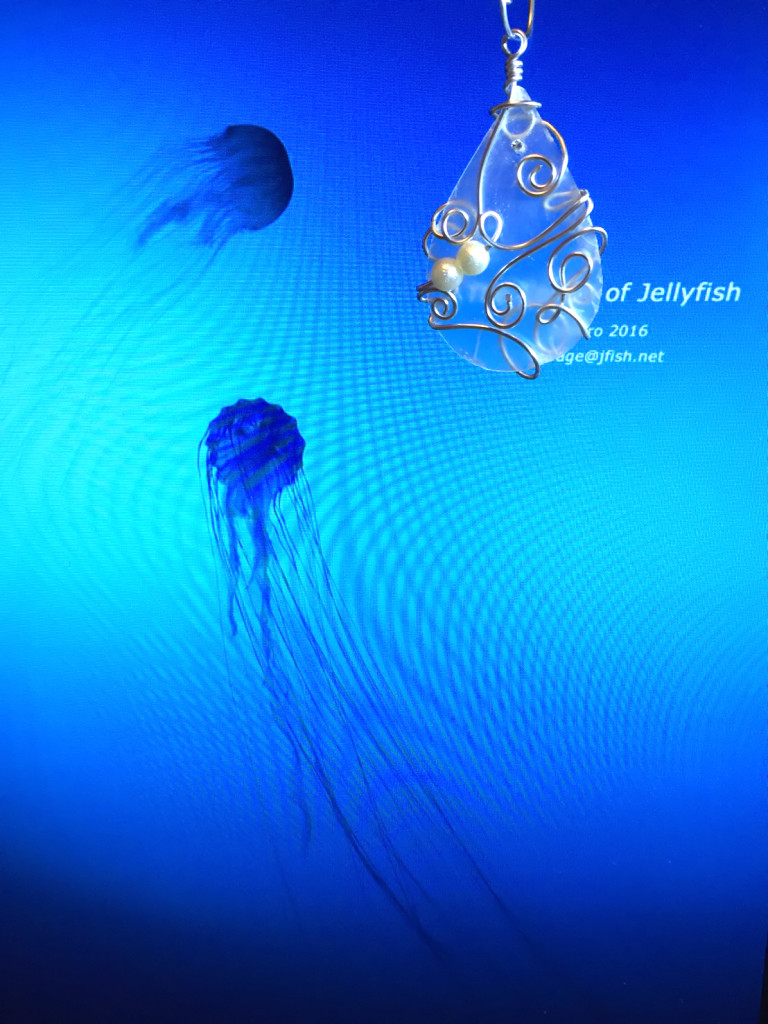 jellyfish_shapeline_accessory