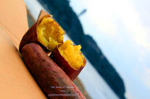 1838549686_213 1838549686_213