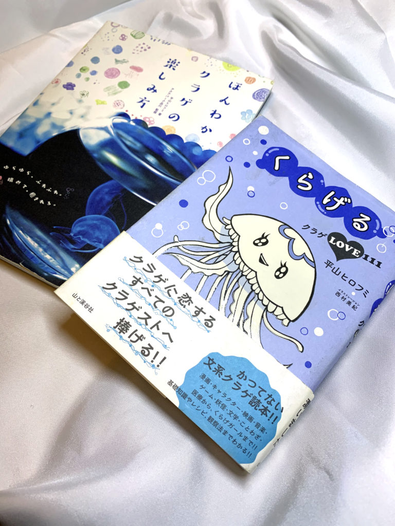 クラゲモチーフのアクセサリー 海鷹マルシェ 11 3 日 4 月 東京海洋大学品川キャンパスに出店します くらげの幻想世界 Mystery Of Jellyfish Photo World