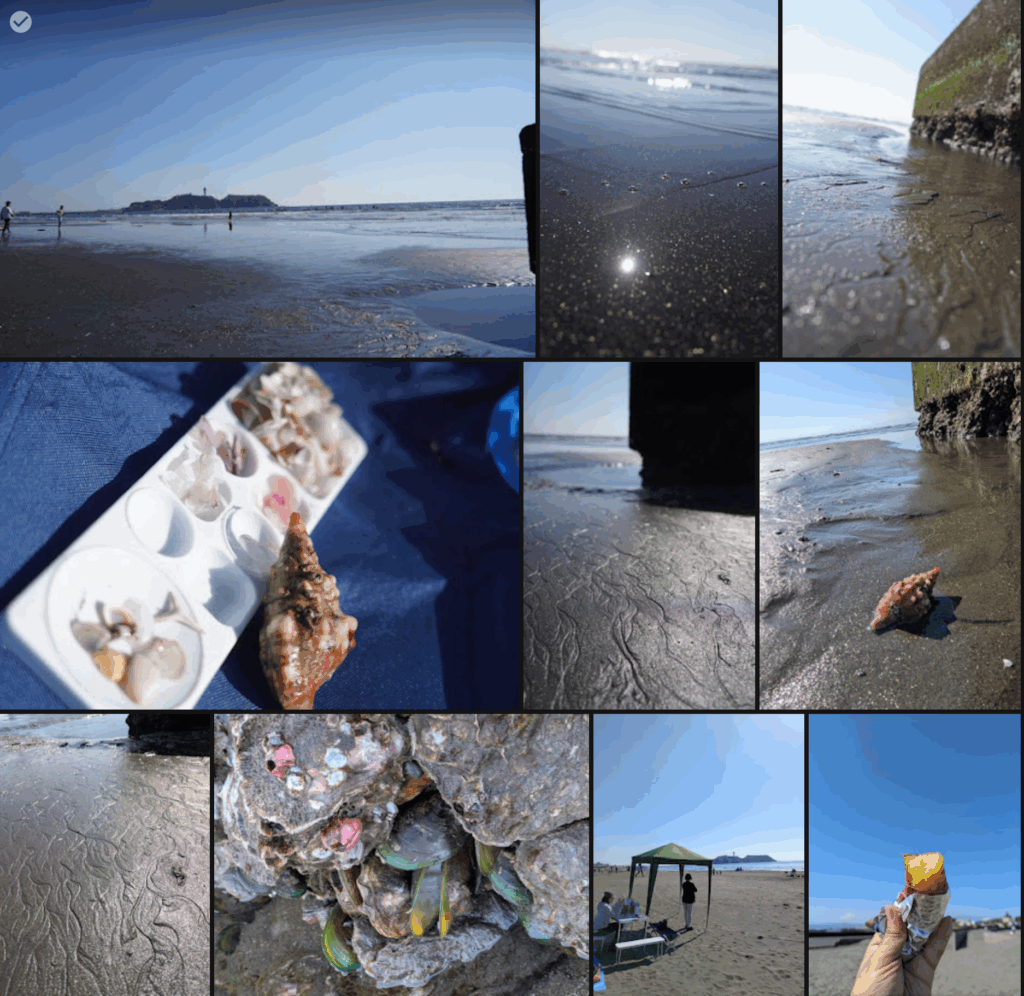 江ノ島ビーチクラブ