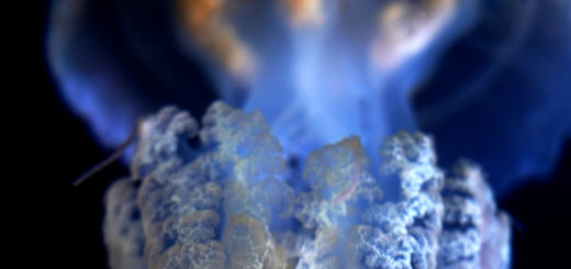 リクノリーザルサーナ